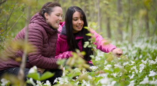 deux personnes admirant des trilles dans la forêt